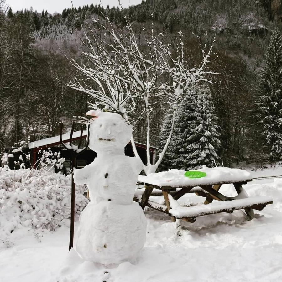 Nant D Ant Apartment Samoëns Екстериор снимка