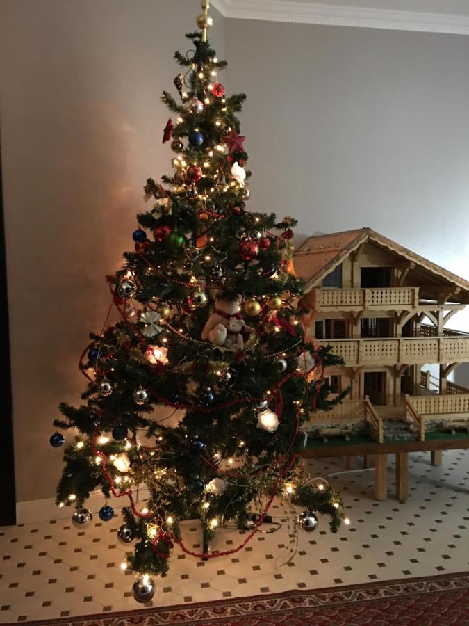 Nant D Ant Apartment Samoëns Екстериор снимка
